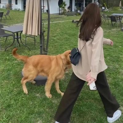 半田君传说